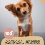 Animal Jokes for Kids