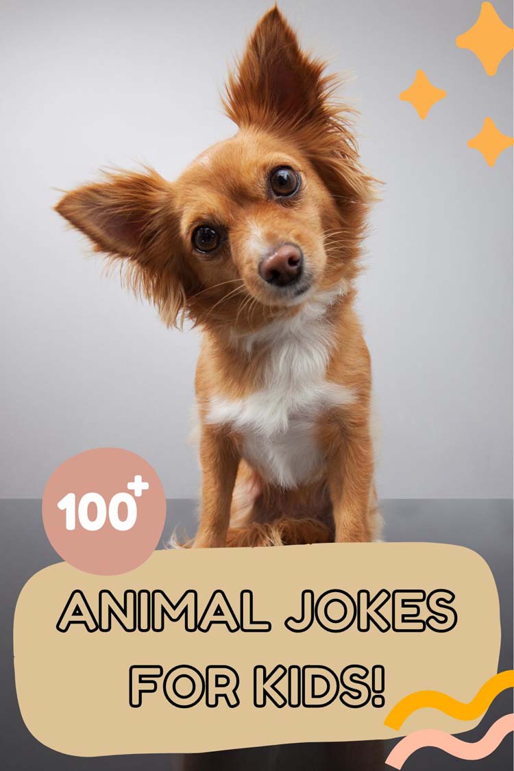 Animal Jokes for Kids