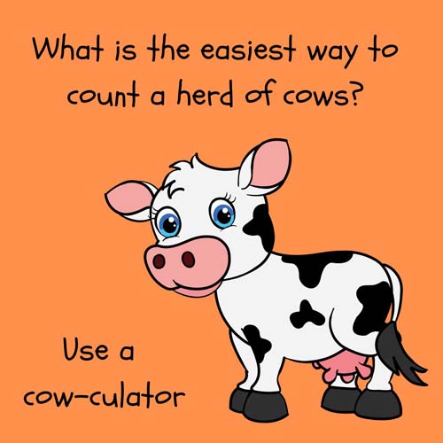 cow joke