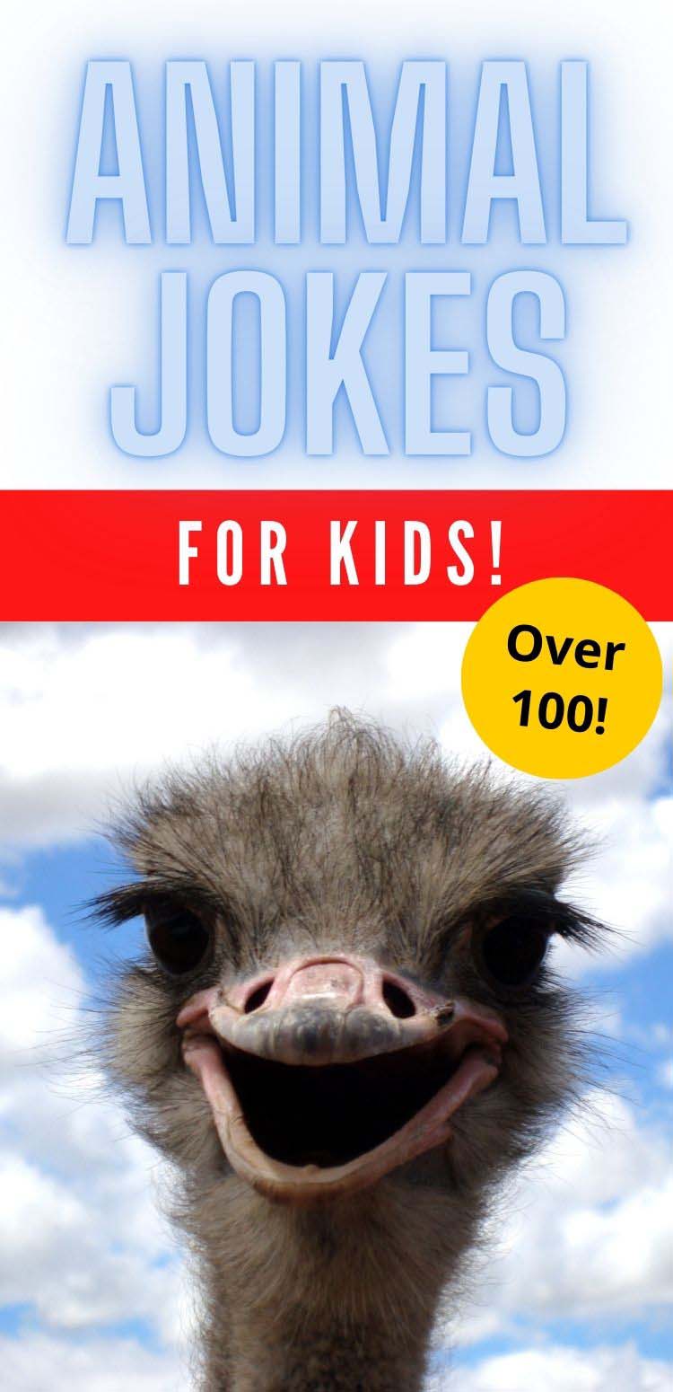 Funny animal jokes for kids